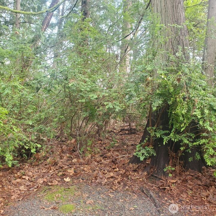 Property Photo: 432 E Pointes Drive E WA 98584