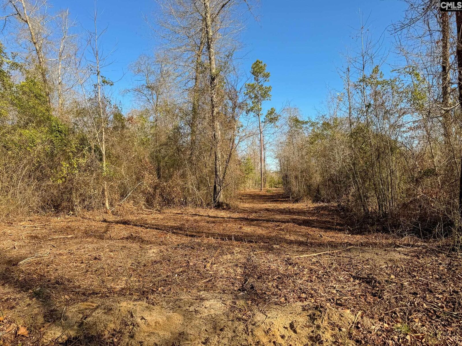 Property Photo: 0 Palomino Lot 10 SC 29070