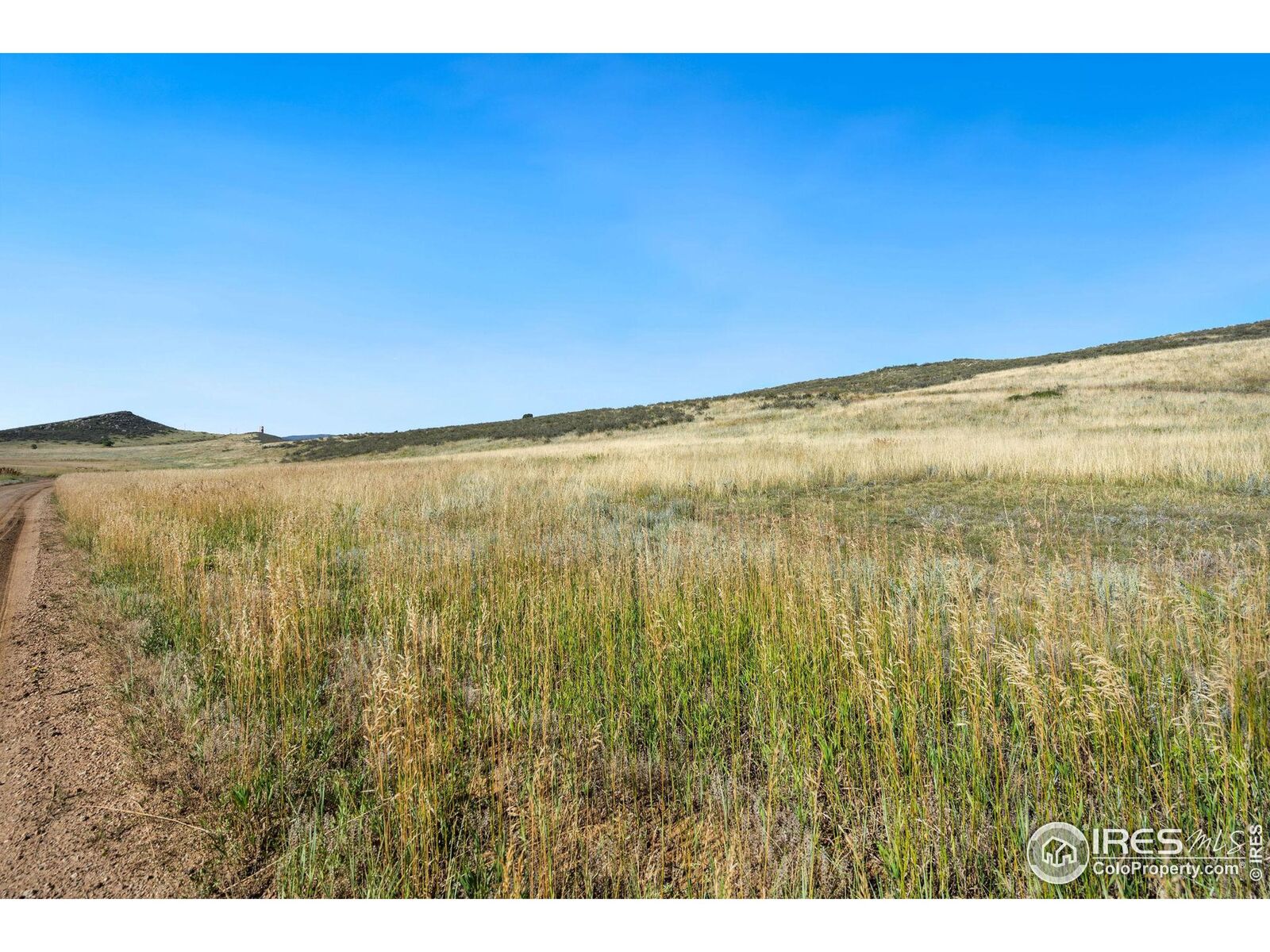 Property Photo:  9171 Arapahoe Valley Rd  CO 80535 