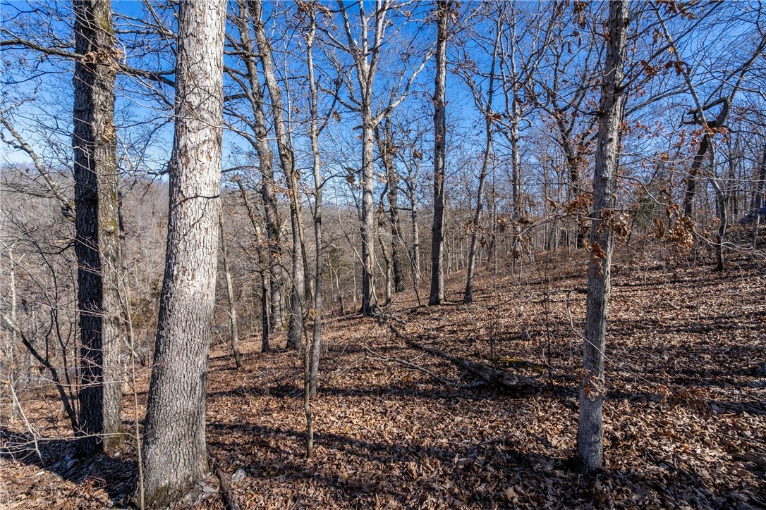 Property Photo: Lot 26 Dover Drive AR 72714