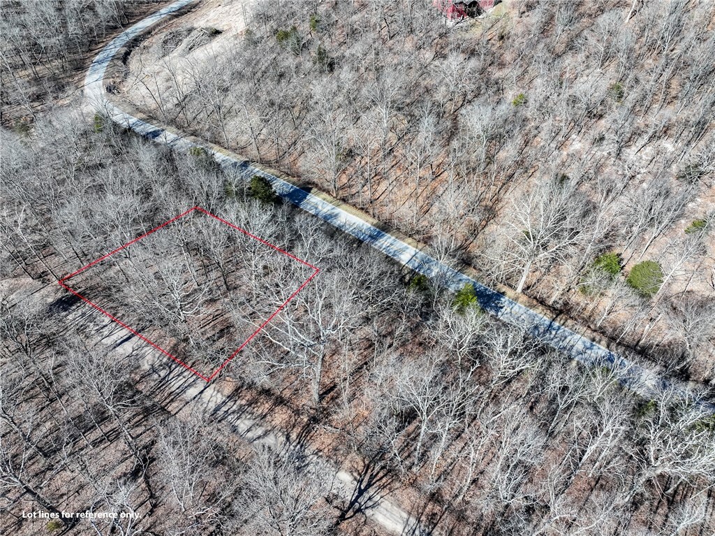 Property Photo: Lot 26 Dover Drive AR 72714