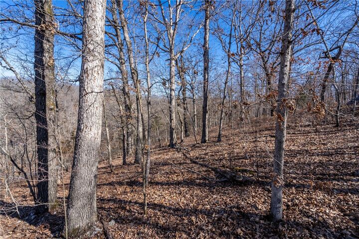 Lot 26 Dover Drive  Bella Vista AR 72714 photo