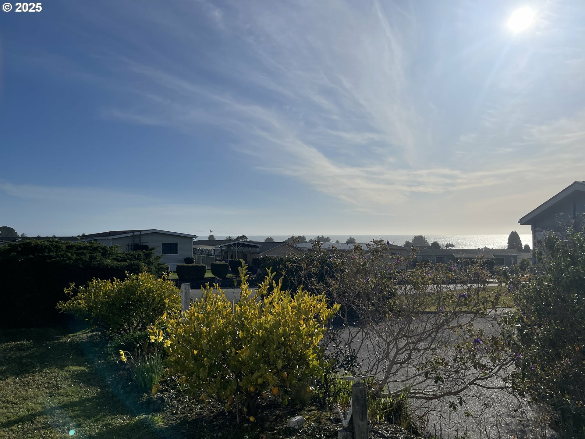 Property Photo: 98611 Camellia Dr OR 97415