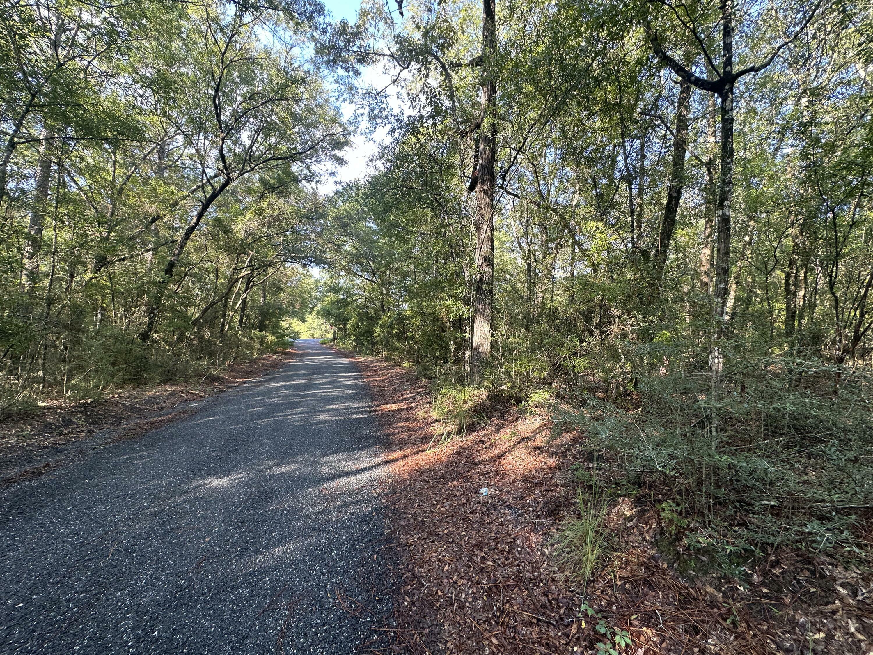 Property Photo: Parcel B Carroll Drive FL 32531