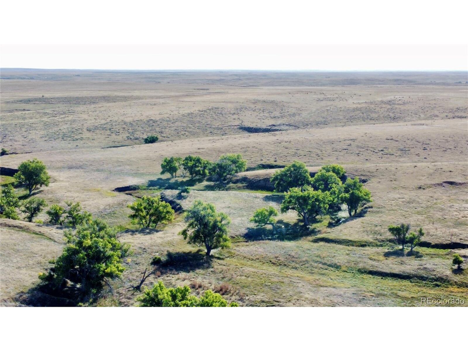 Property Photo: 6 County Road 109 CO 80105