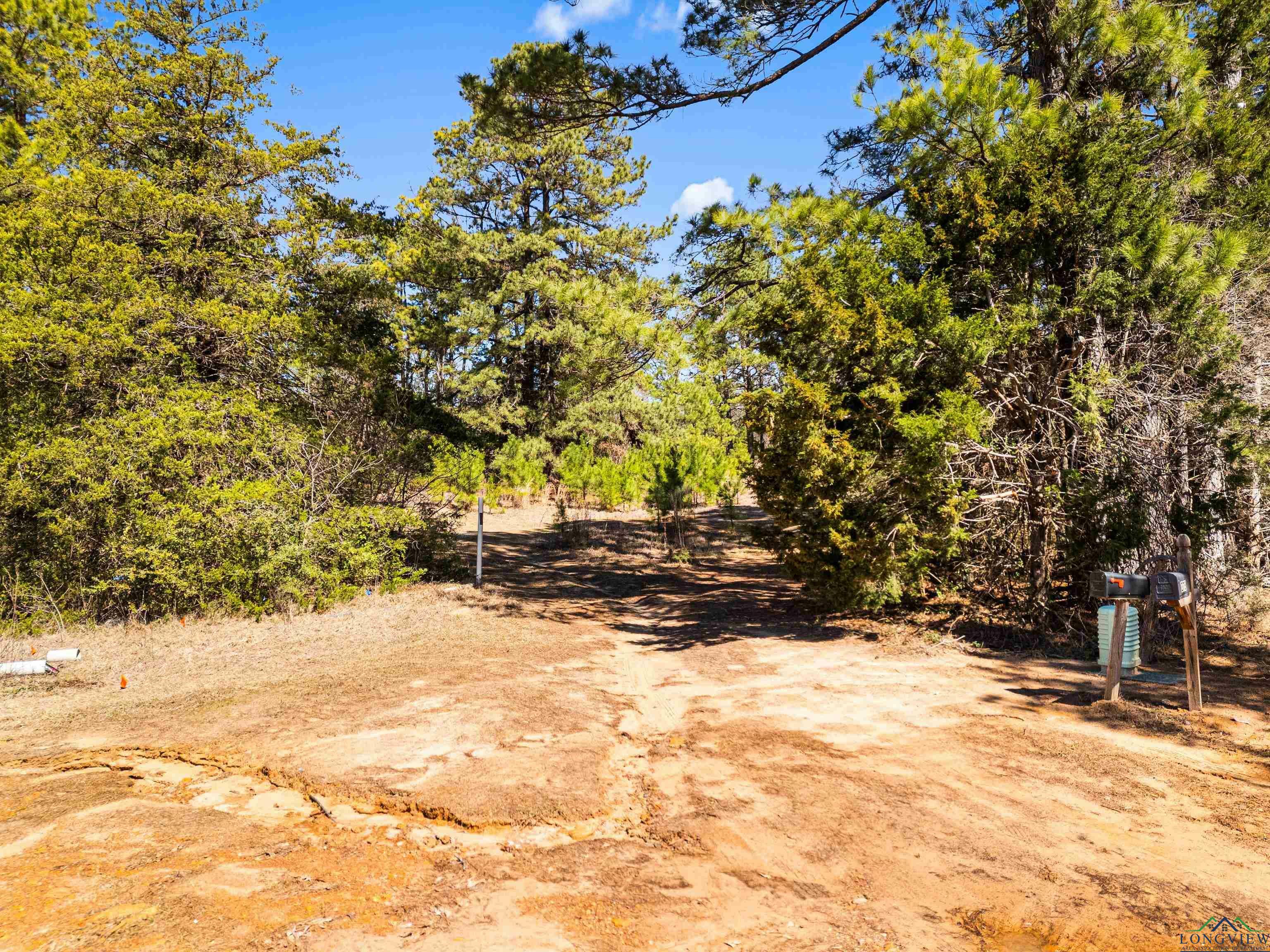 Property Photo:  284 County Road 2227  TX 75560 