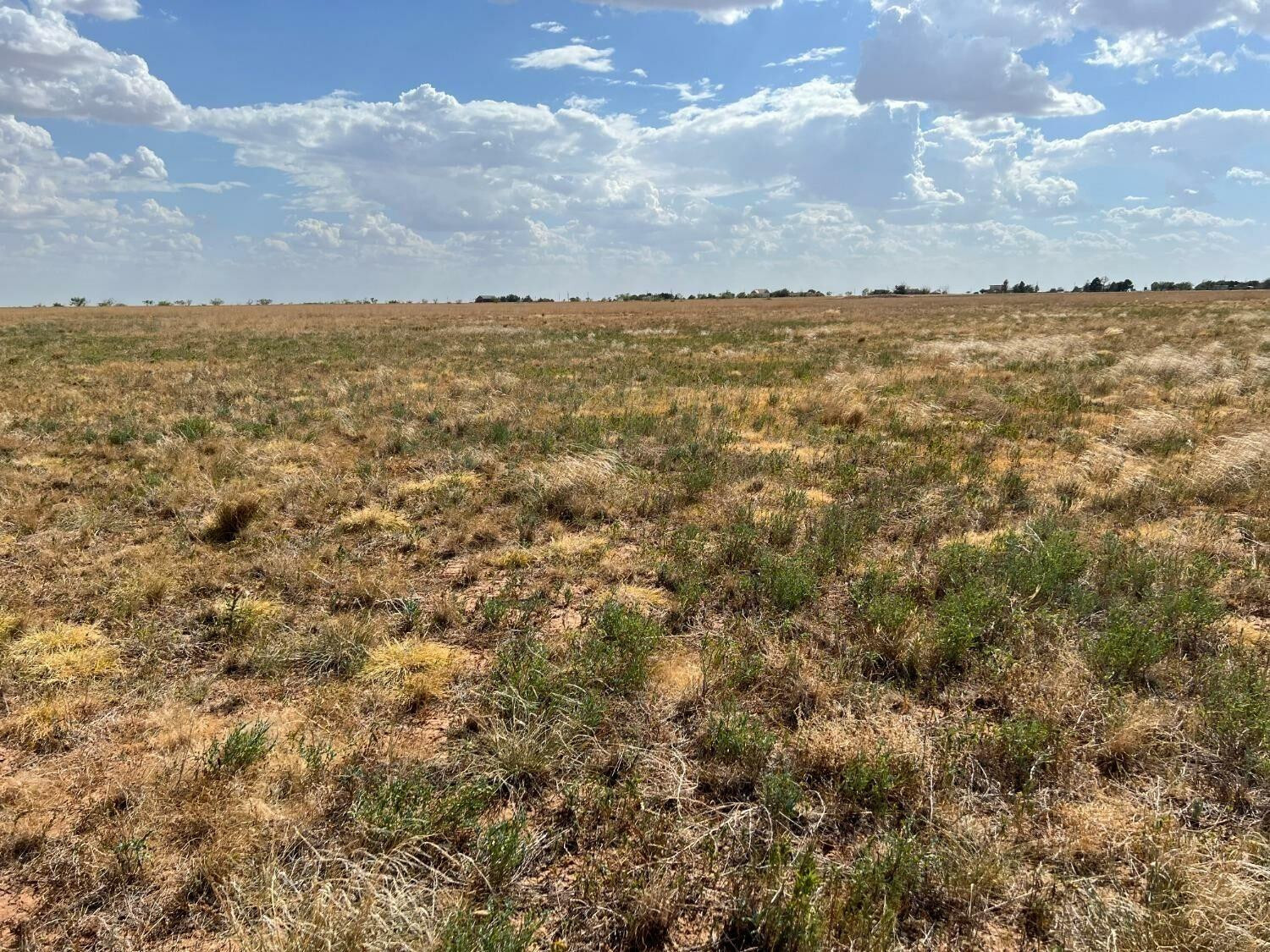 Property Photo: 4111 County Road 5300 TX 79311