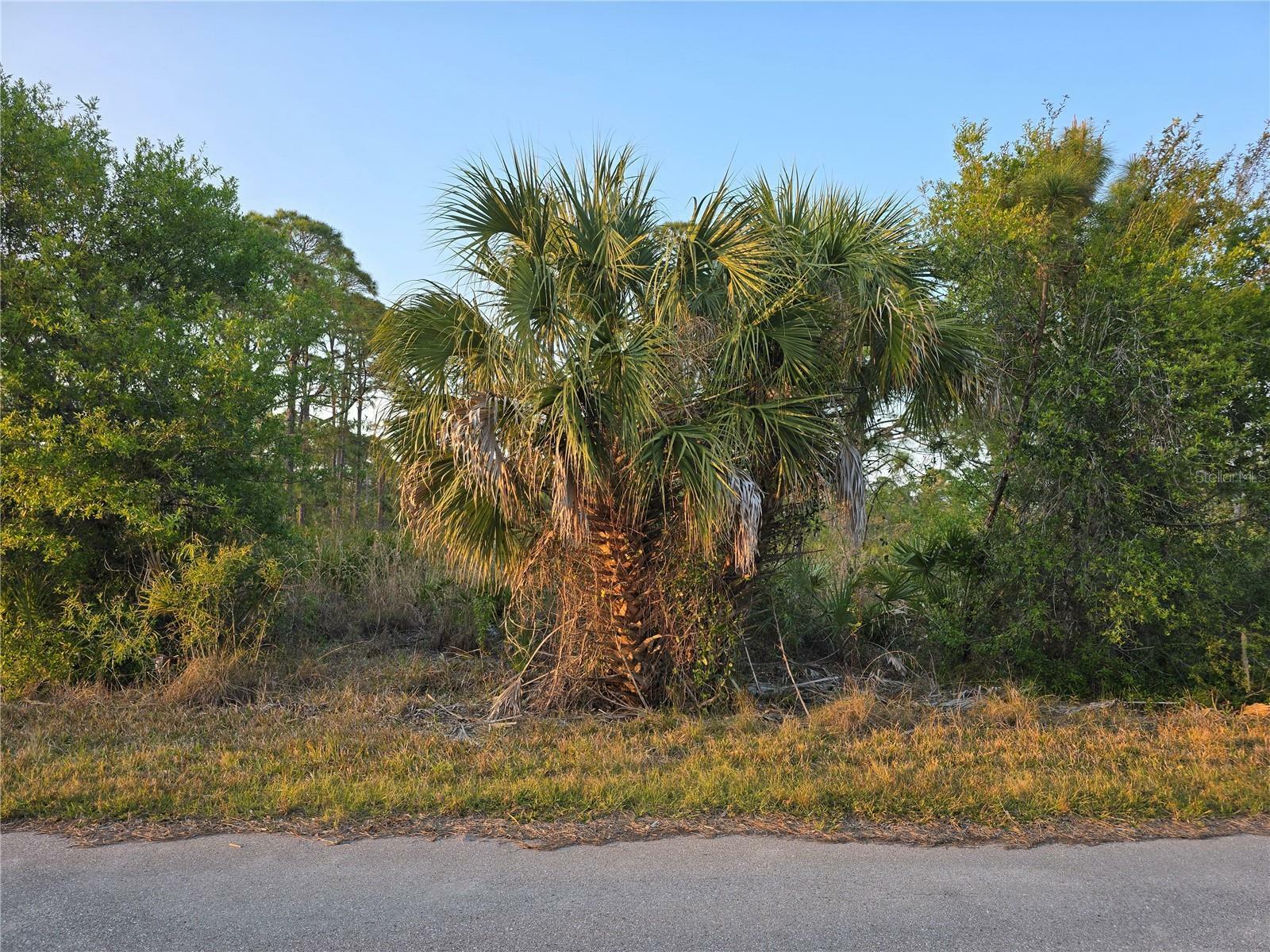 Property Photo: 13510 Suribachi Avenue FL 33953