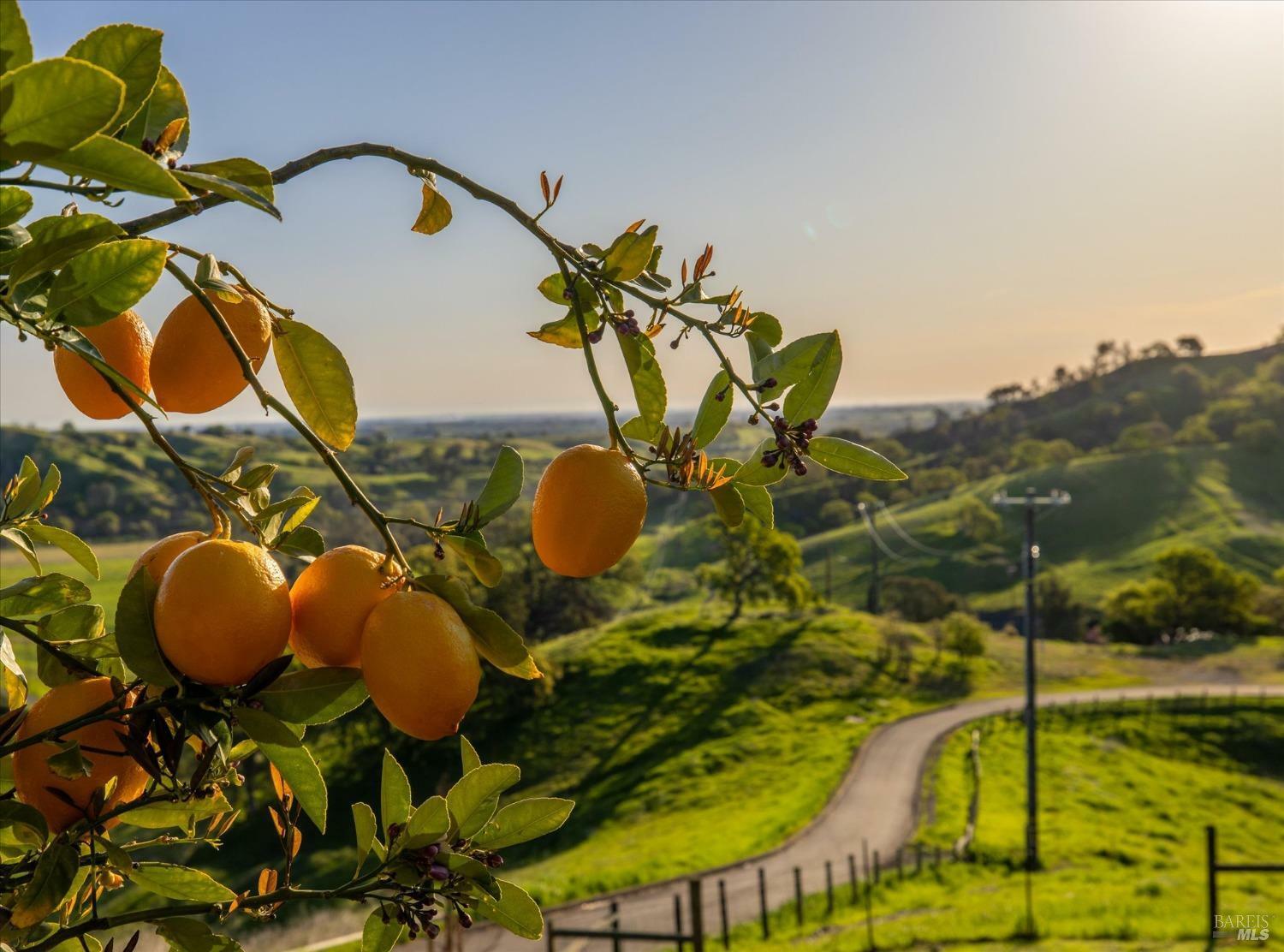 Property Photo: 8725 Quail Canyon Road CA 95688