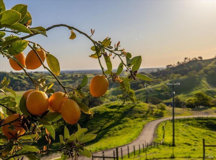 Property Photo: 8725 Quail Canyon Road CA 95688