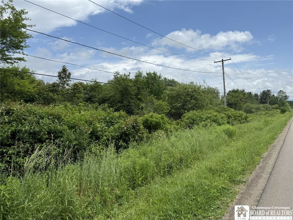 Property Photo: James Road NY 14782