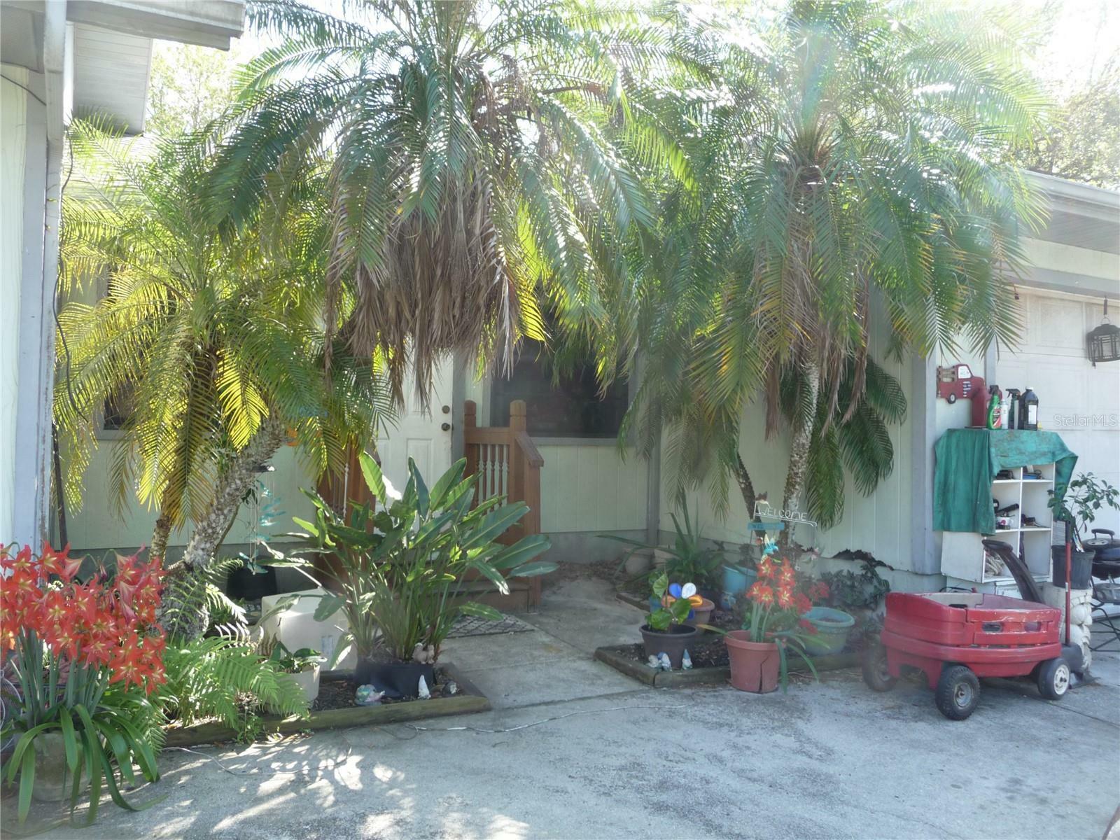 Property Photo: 26191 Angelica Road FL 33955