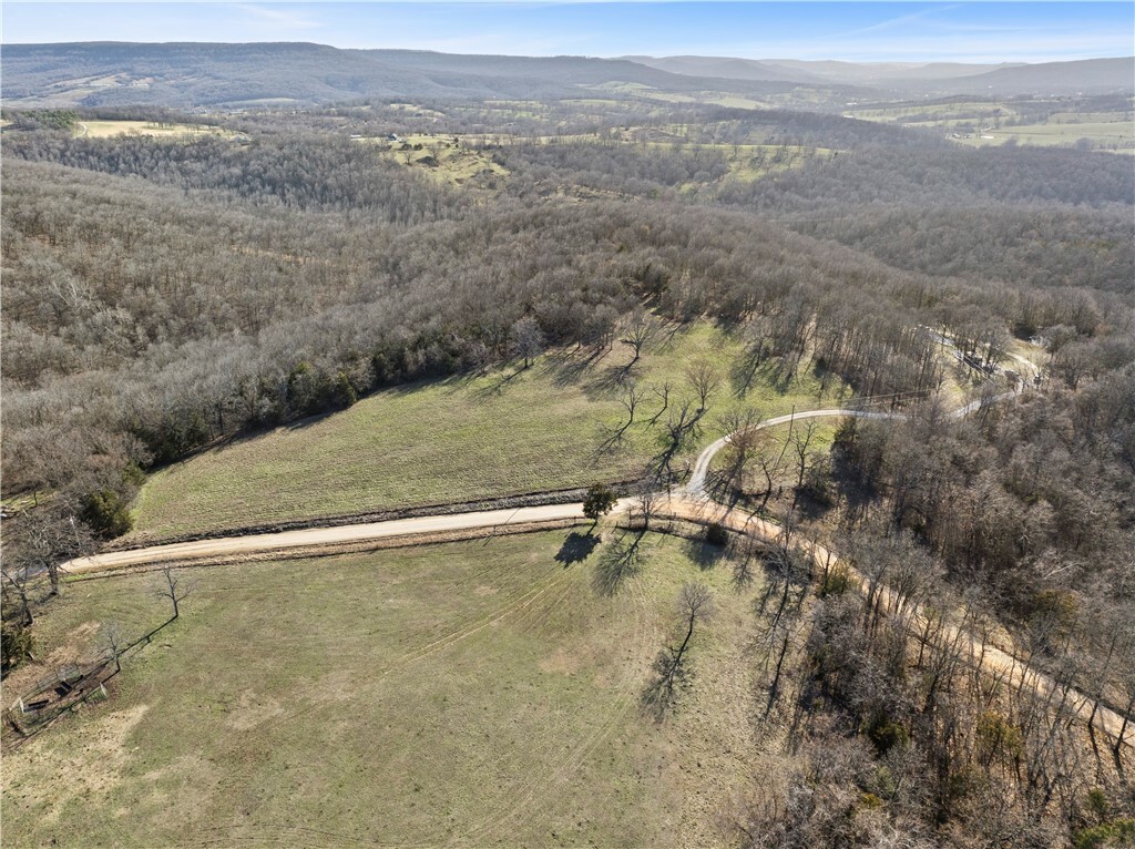 704 Green Hill Road  Harrison AR 72601 photo