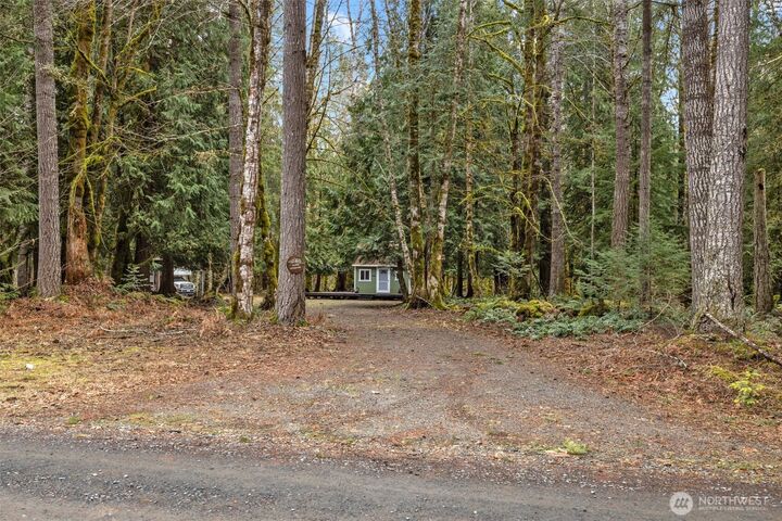 152  Cougar Drive  Packwood WA 98361 photo