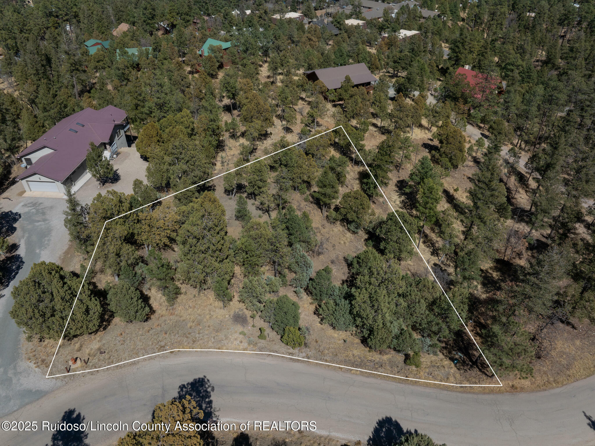 Property Photo:  108 Oak Grove Place  NM 88345 