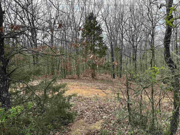 Property Photo: Lot 4 Raby Road AR 72432