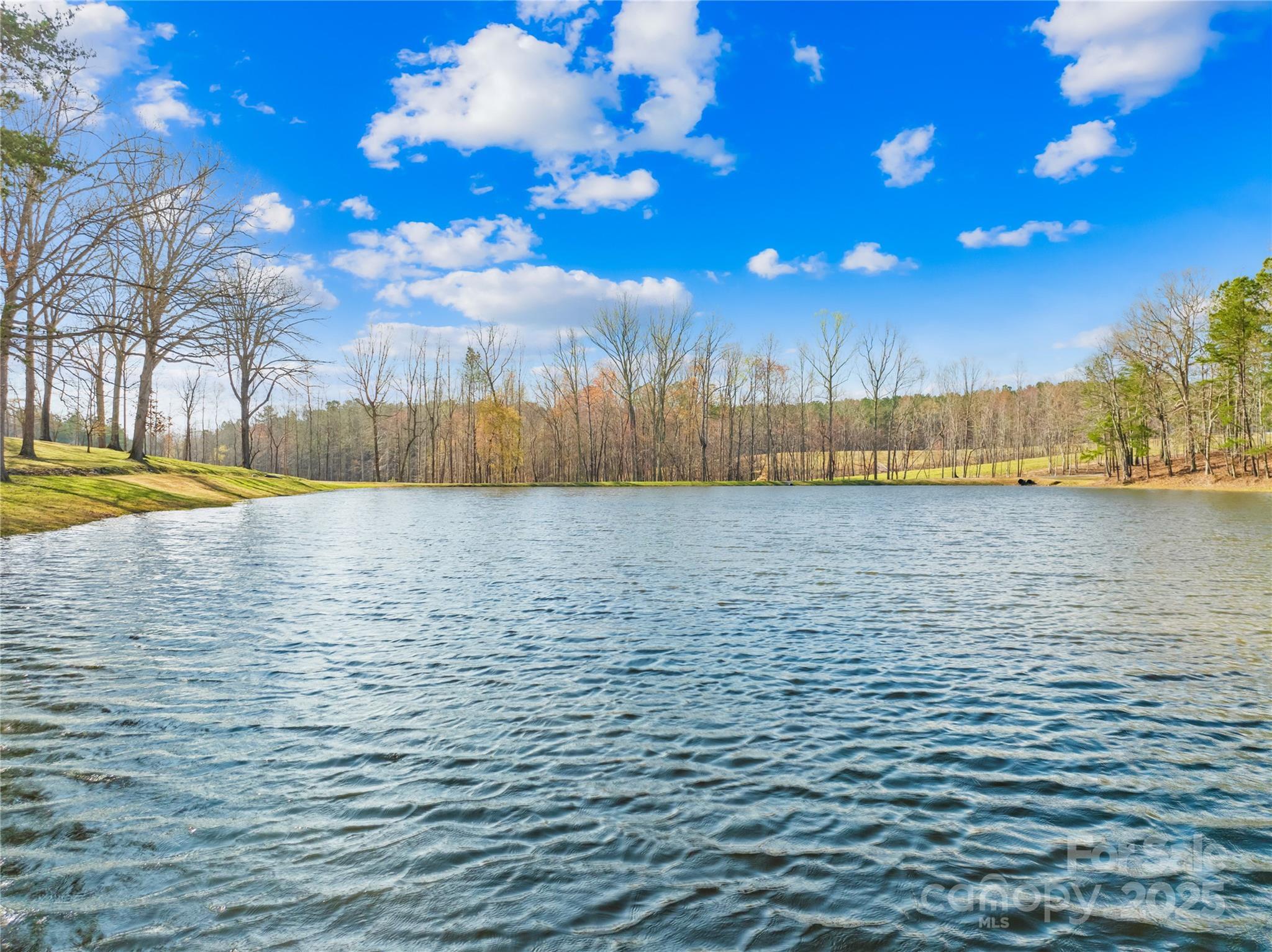 164 Linderman Lake Lane  Kings Mountain NC 28086 photo