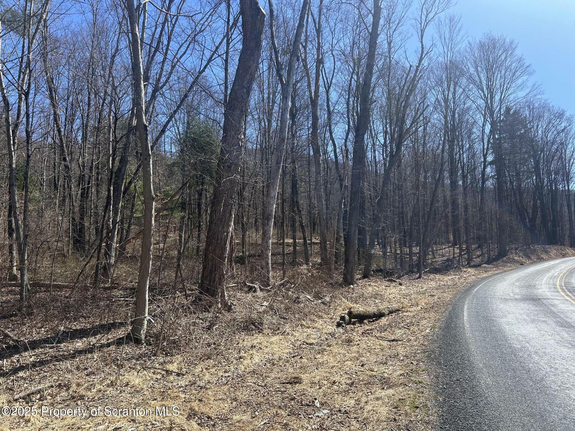 Property Photo: Lot 8 Lower Narrows Rd PA 18411