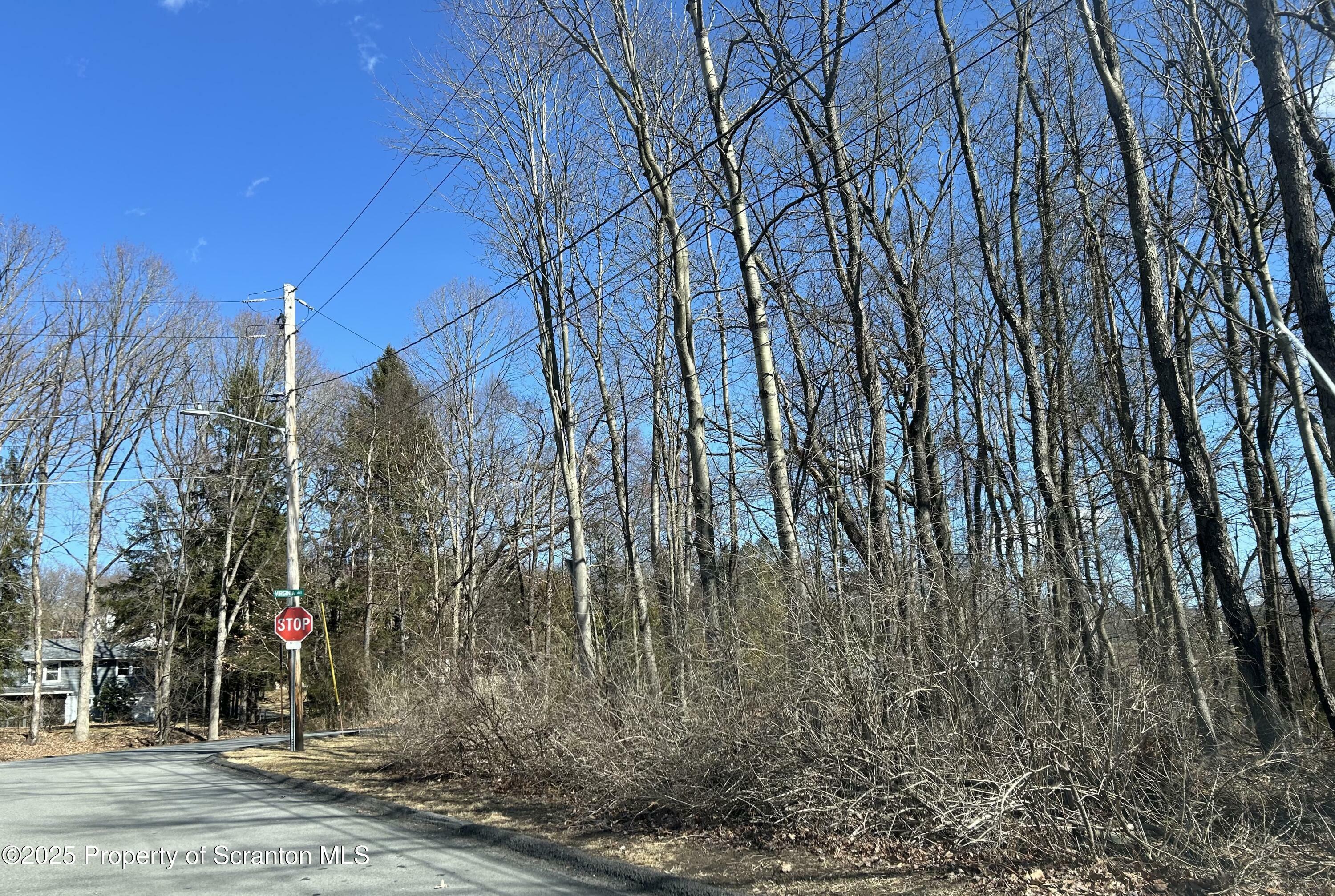 Virginia Avenue  Blakely PA 18452 photo