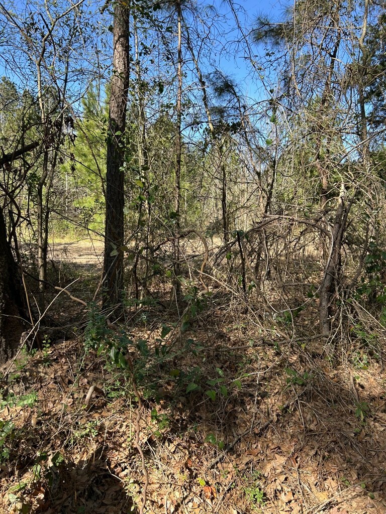 Property Photo: 200 Haddaway Lane TX 75901