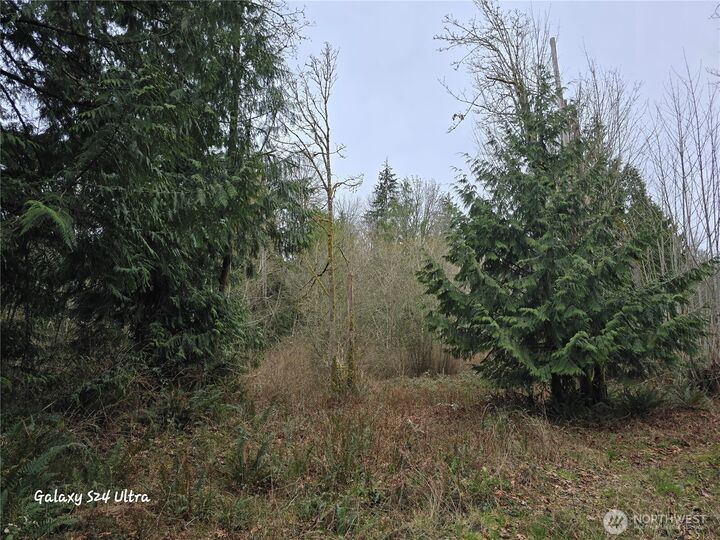 Property Photo: 0 Morning Dove Lane NE WA 98346