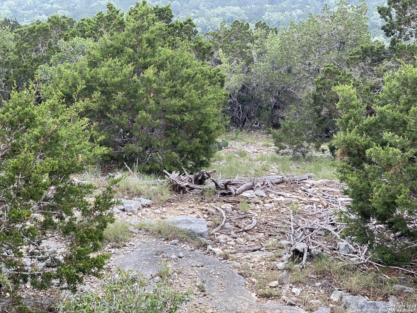 Property Photo: 3726 Morris Lynn TX 78261