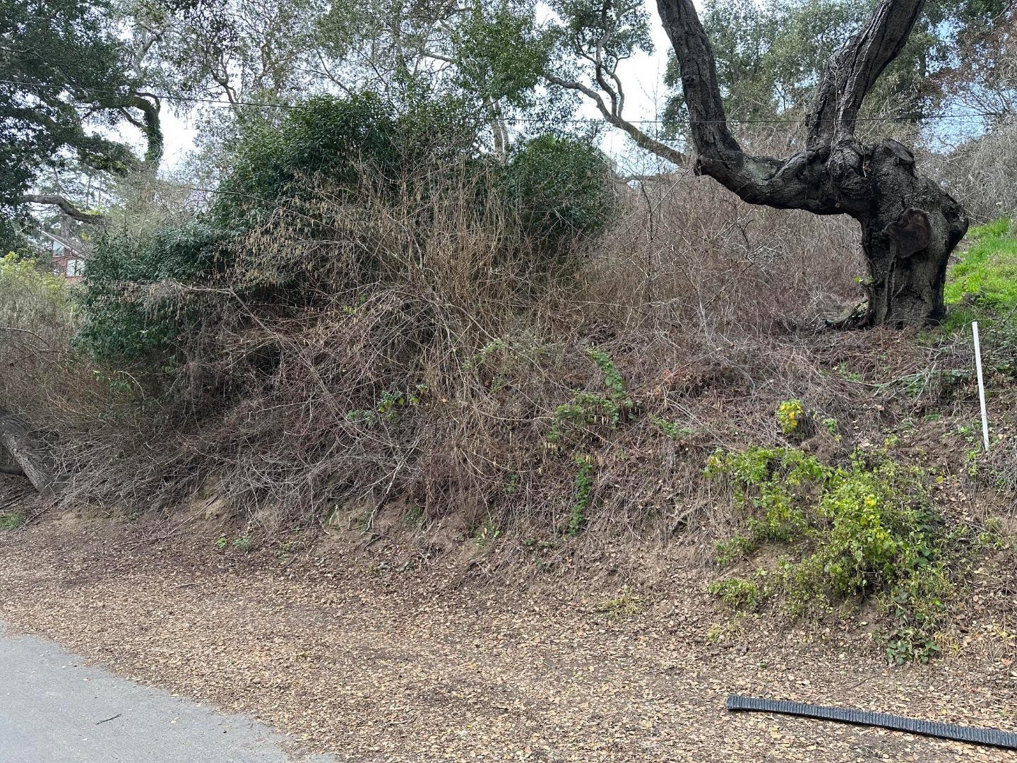 Property Photo: 000 Encino Drive CA 95003