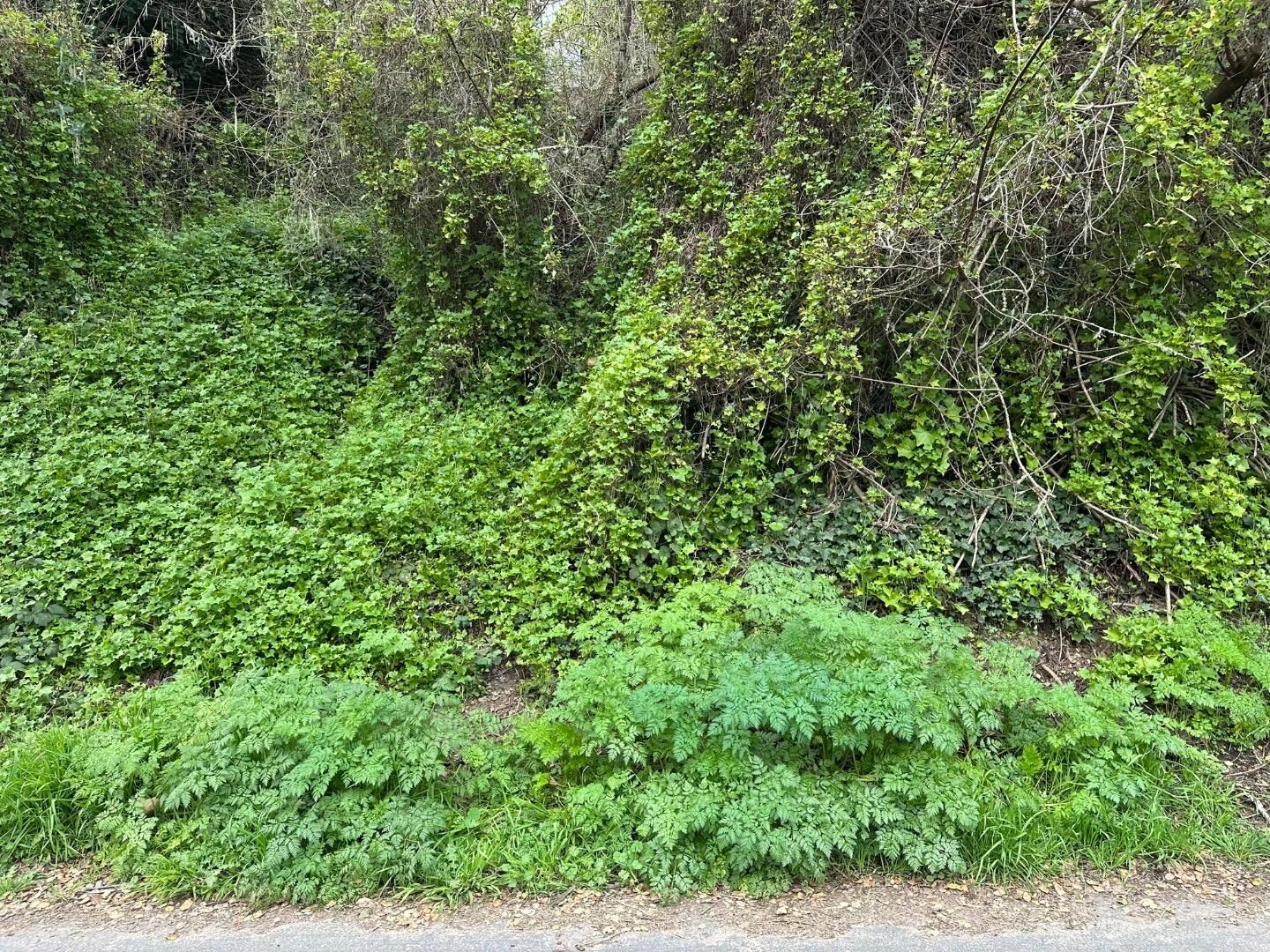 Property Photo: 000 Encino Drive CA 95003