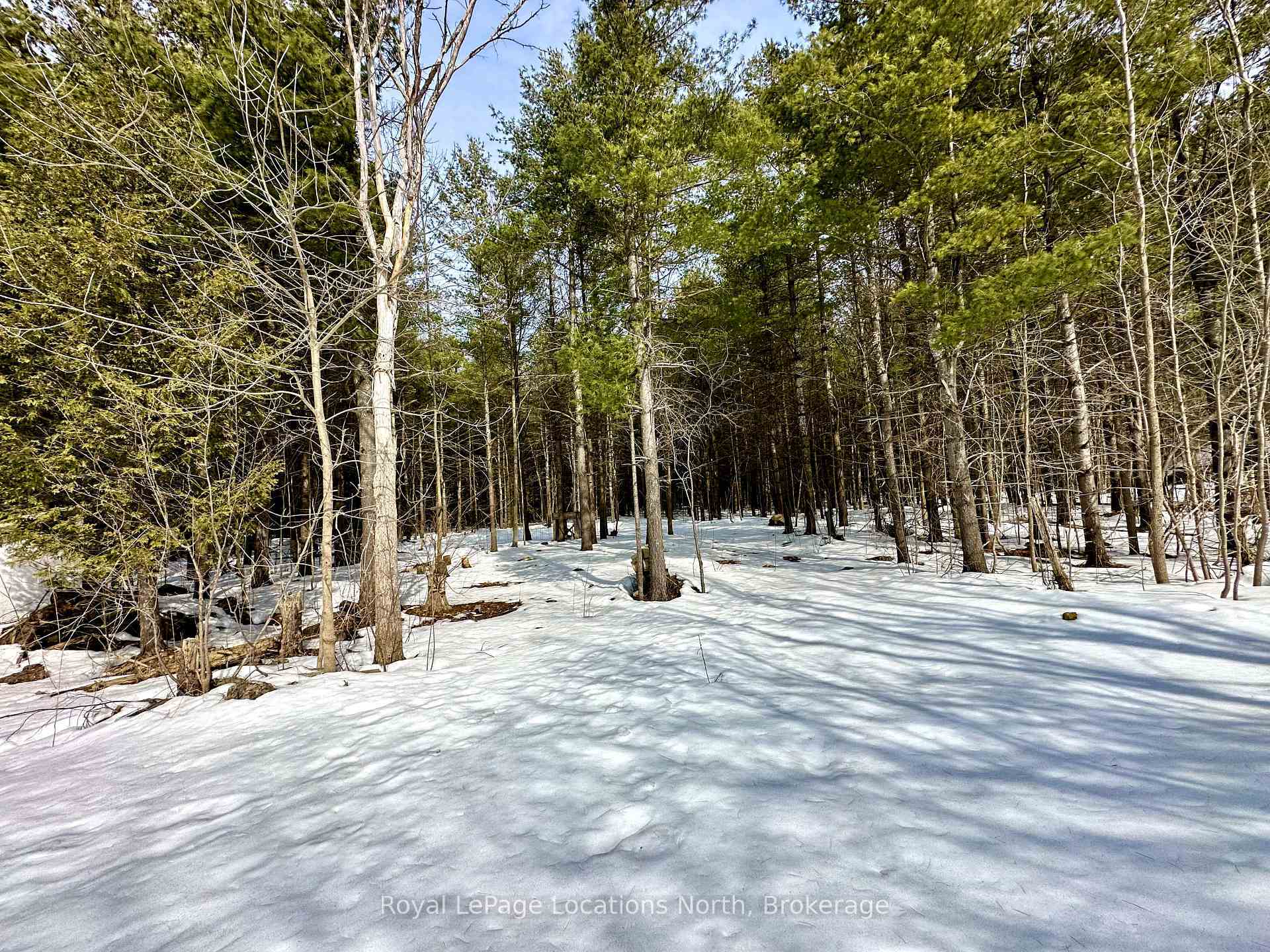 Property Photo:  777215 Highway 10 N/A  ON N0H 1R0 