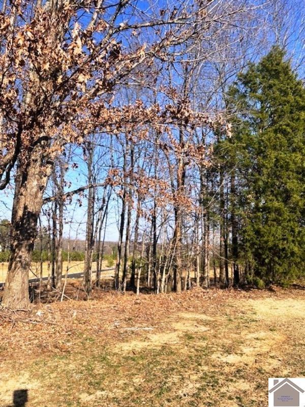 Property Photo: Lot 89 Forest Ridge Dr KY 42003