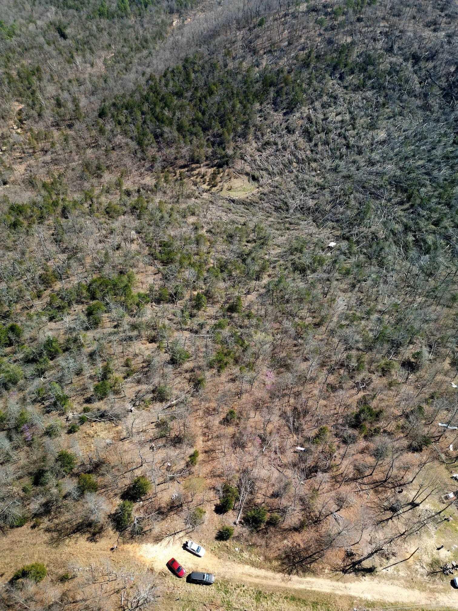 Property Photo:  Lot 2 Deer Meadows Lane  AR 72687 