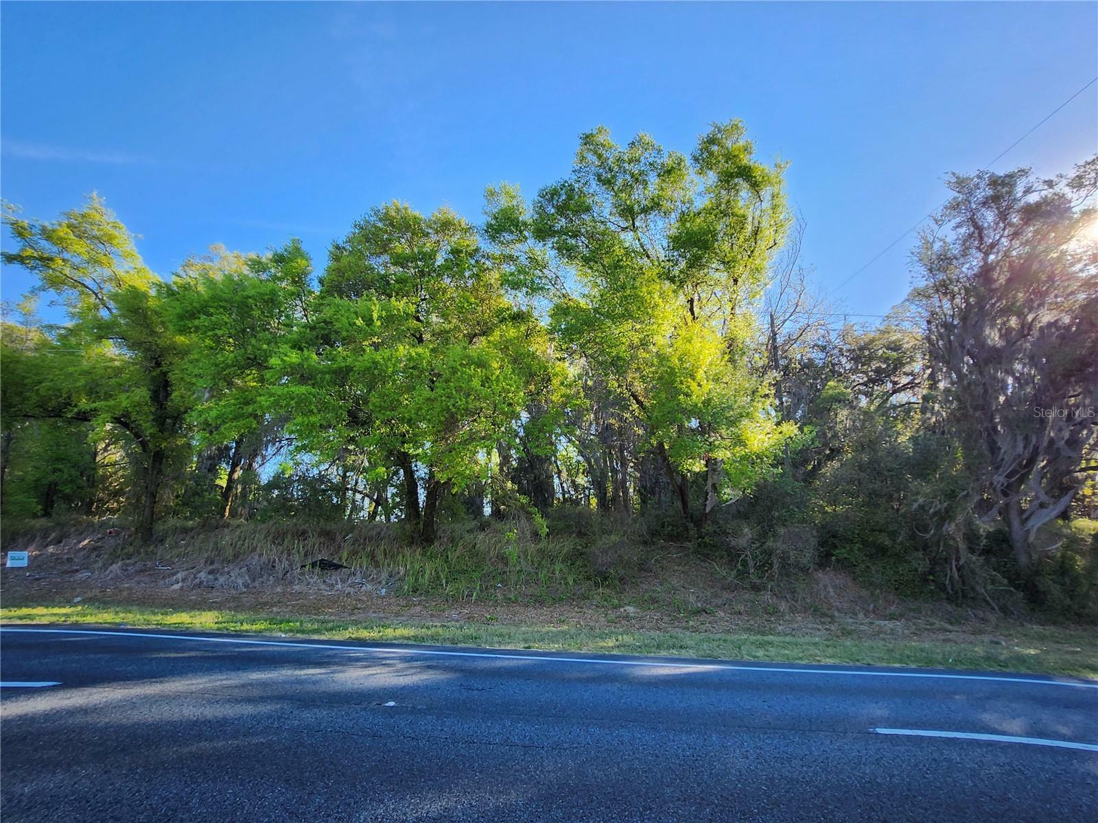 Tbd US Hwy 441/27  Summerfield FL 34491 photo