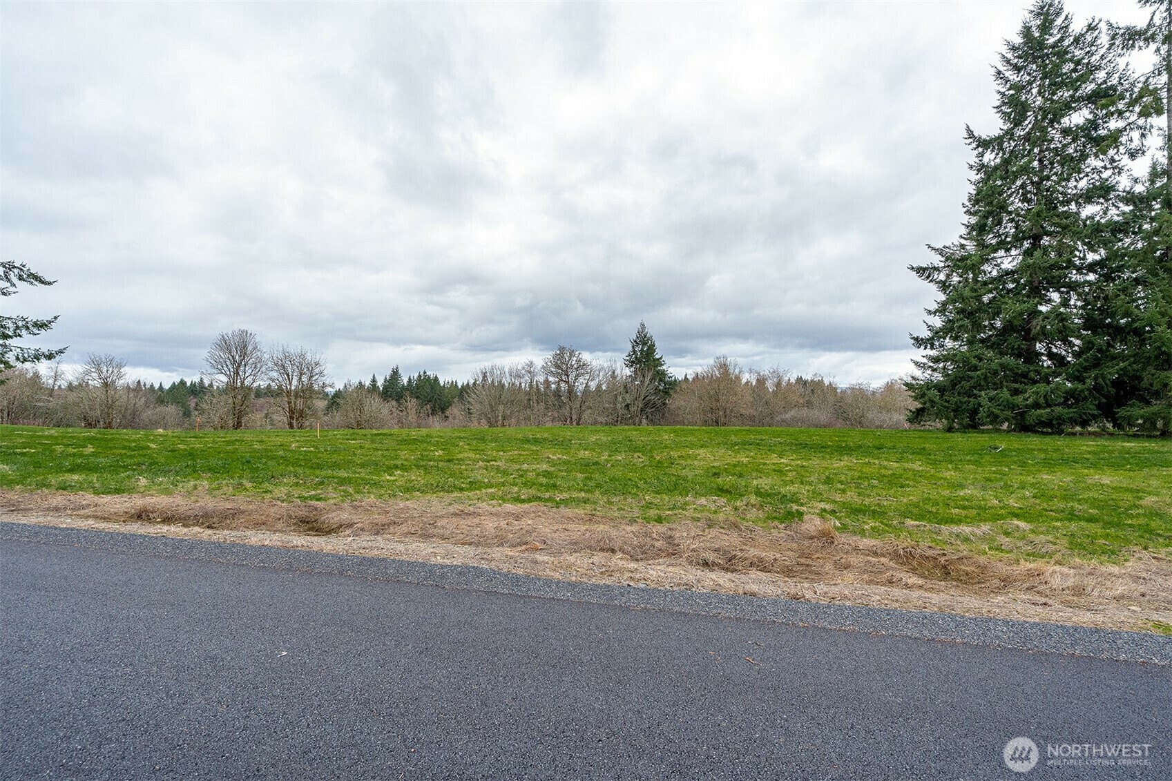 Property Photo: 0 Lot C Birchfield Commons WA 98570