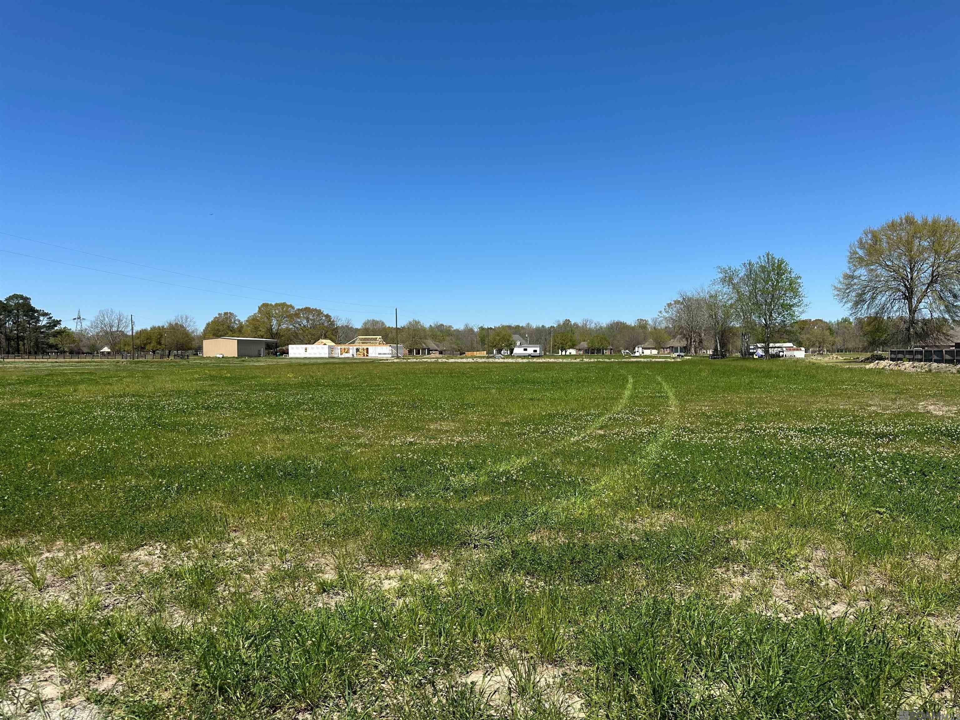 Property Photo: 9766 Skynet Lane LA 70729