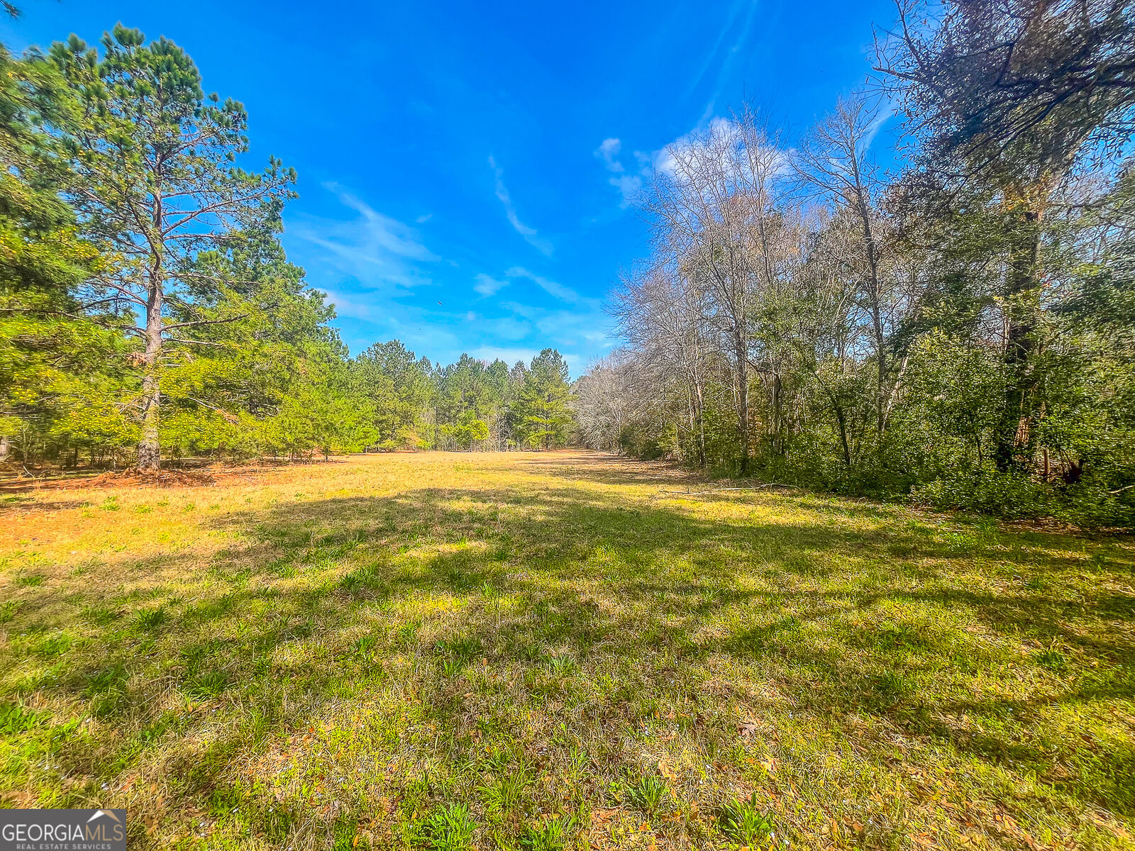 Property Photo:  326 Nolan McCord Road  GA 31027 