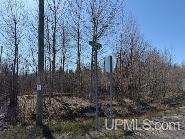 Property Photo: Tbd M-203 Highway MI 49913