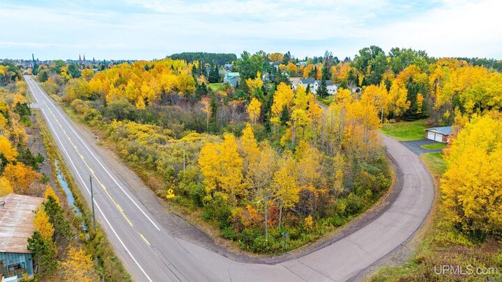 Tbd M-203 Highway  Calumet MI 49913 photo