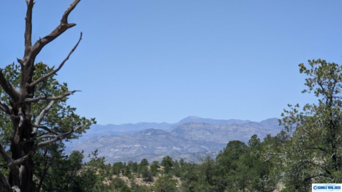 Property Photo: 3xx Old Telegraph Ridge Road NM 88061