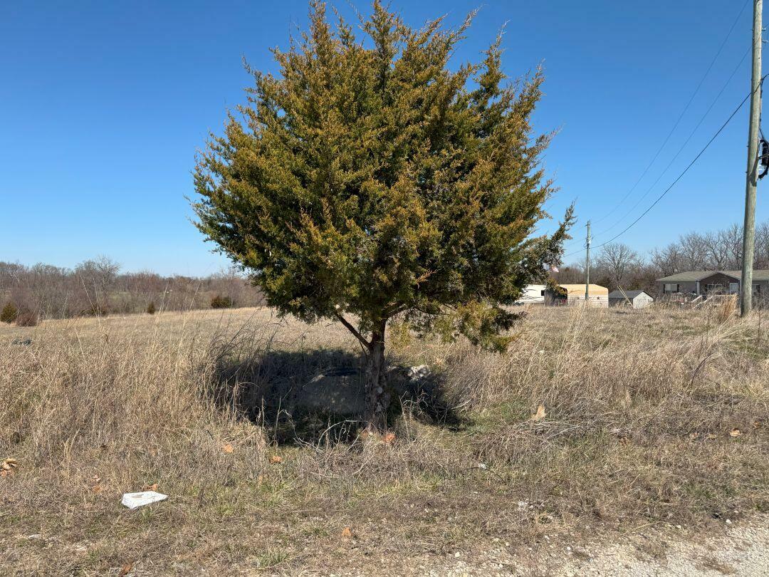 Tbd Lot 58 Blockade Village North  Seligman MO 65745 photo