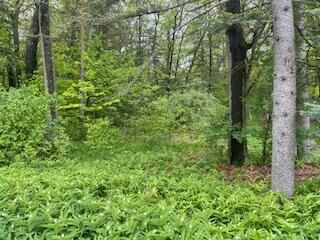 124 Cadillac Avenue  Houghton Lake MI 48629 photo