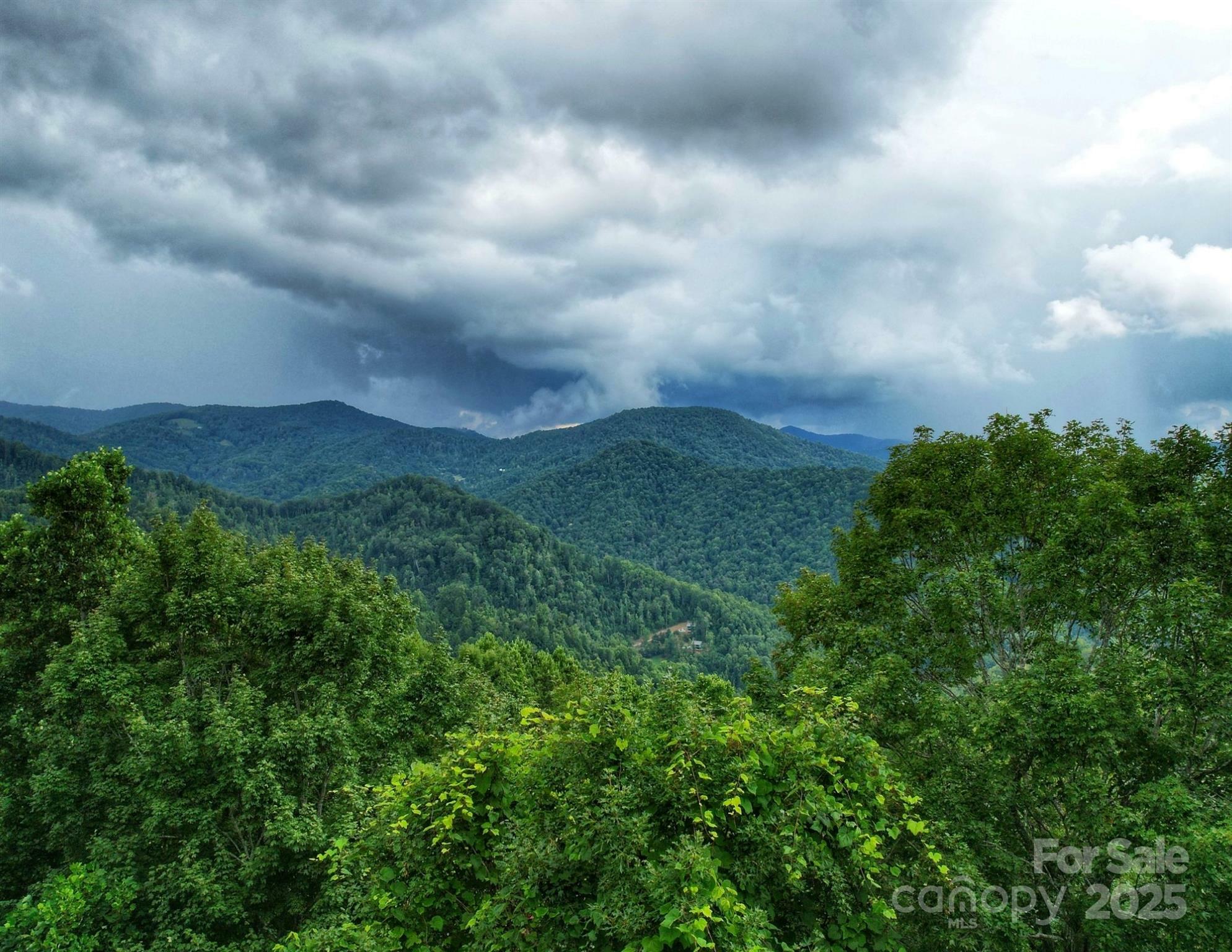 Property Photo: 00 Windy Gap Road Tract B NC 28754