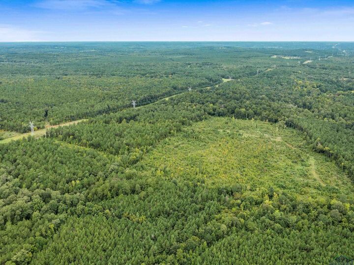 Property Photo:  Tbd Fm 95 (69.03 Acres)  TX 75681 