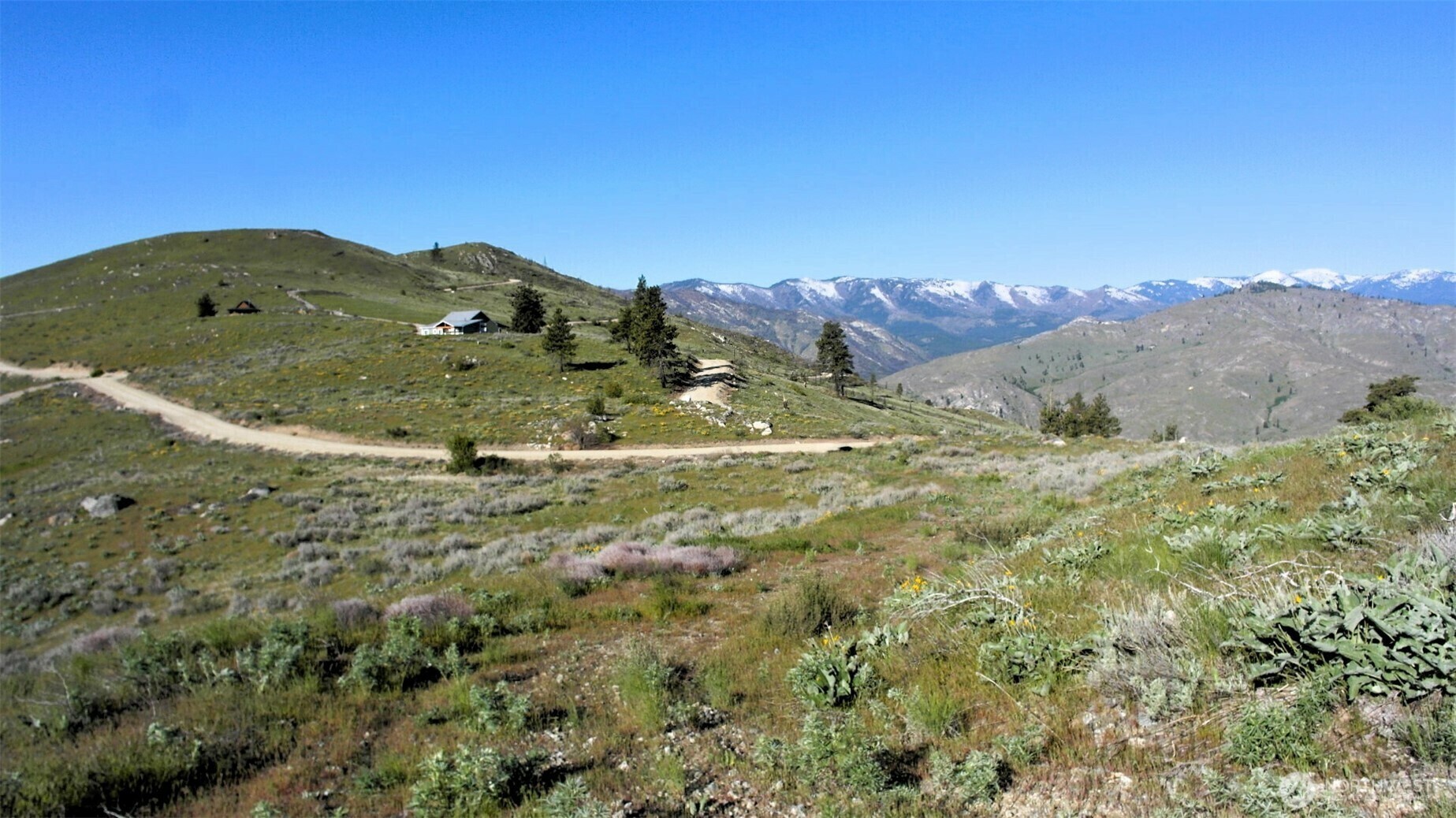 Property Photo: 31 Cowboy Road WA 98834