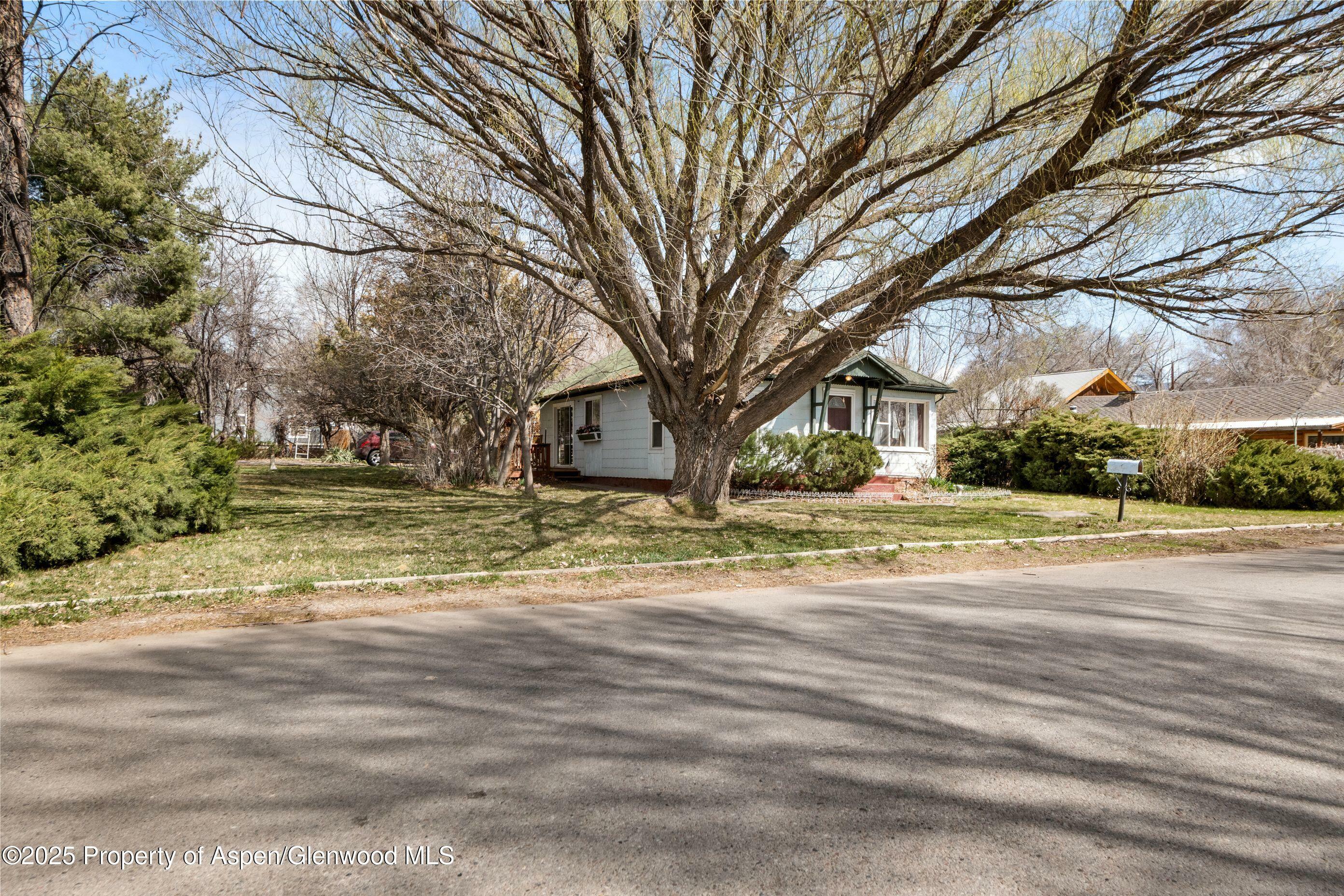812 Home Avenue  Silt CO 81652 photo