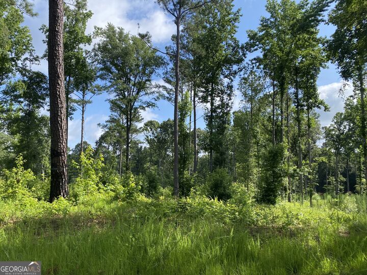 Property Photo:  671 Giles Road  GA 31029 