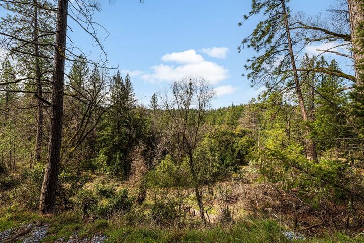 Property Photo:  1767 Swansboro Road  CA 95667 