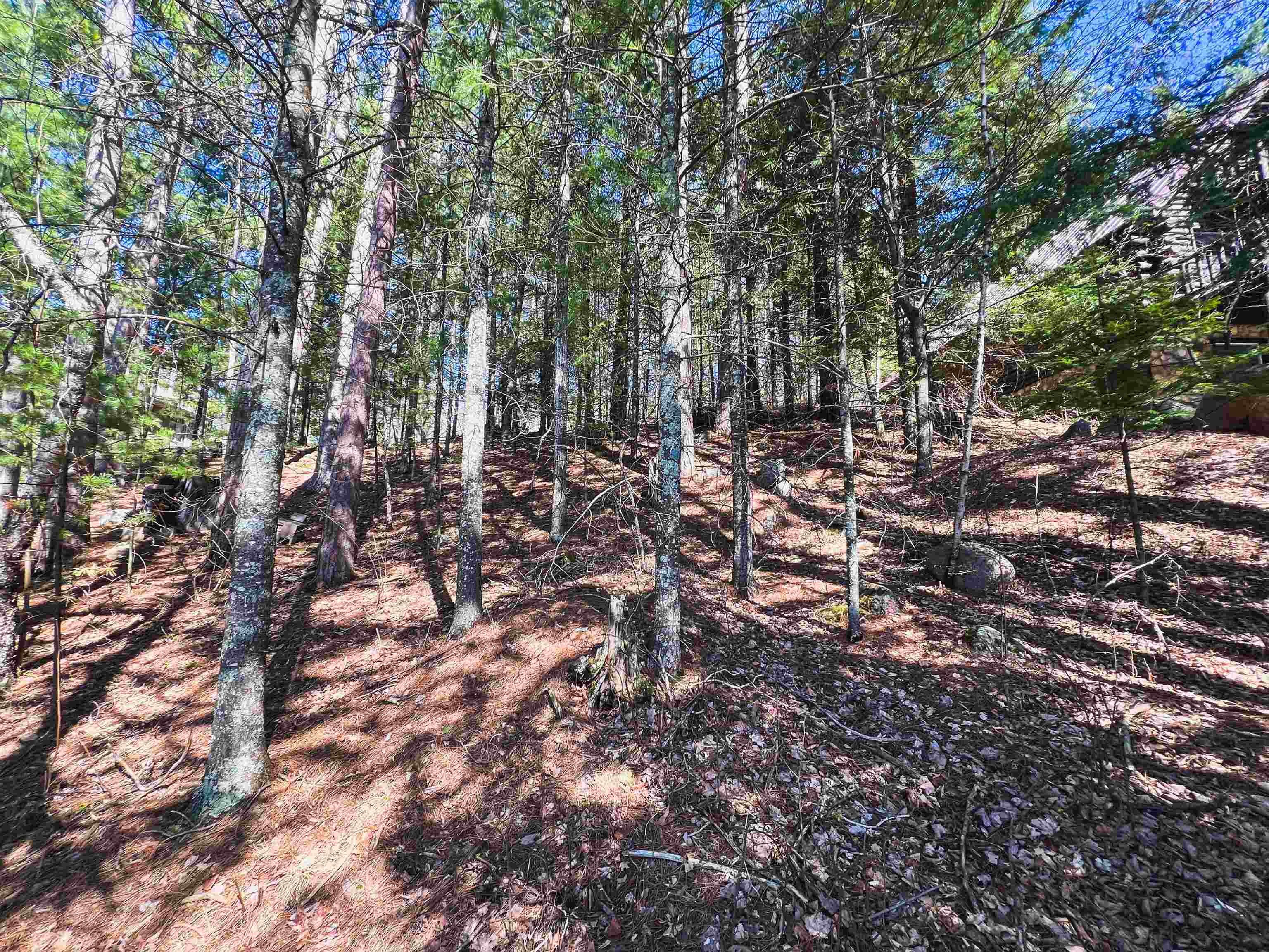 Property Photo: E Wheeler Lane WI 54138