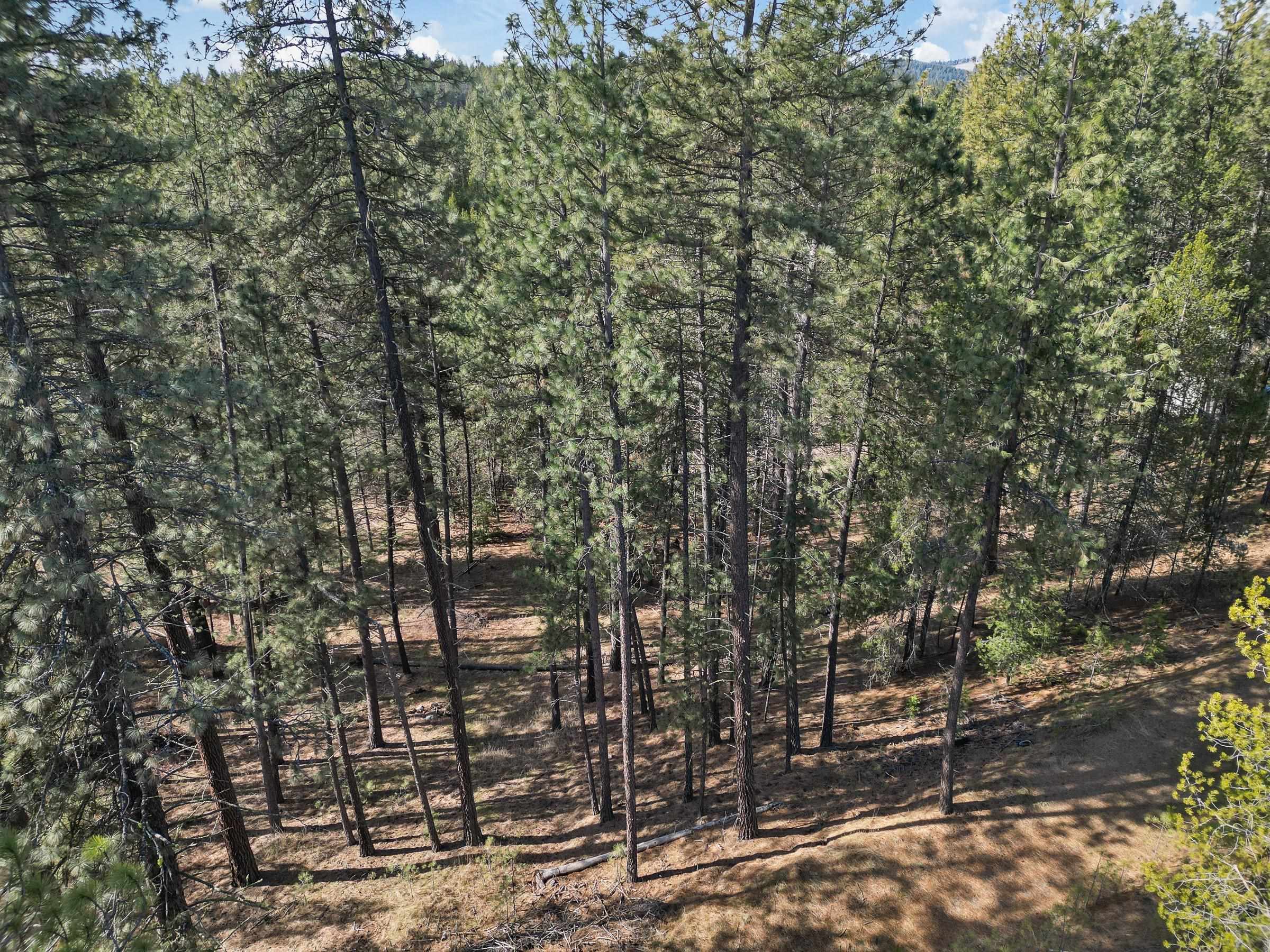 Property Photo: 17306 N Dartford Rd WA 99208