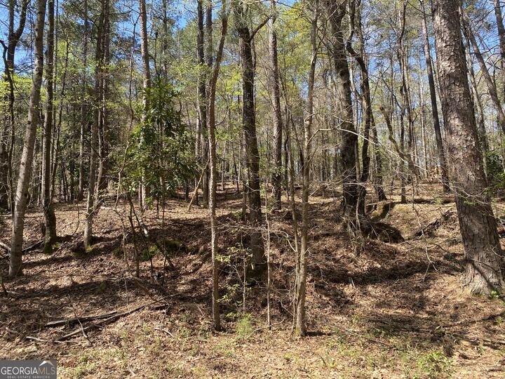 Property Photo:  0 Sandra Drive  GA 31032 