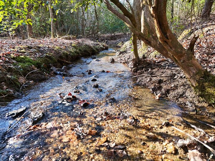 300 Kaleb Trail  Mineral Bluff GA 30559 photo